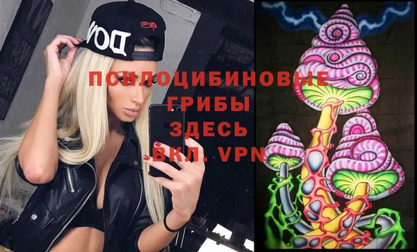 амфетамин Белокуриха