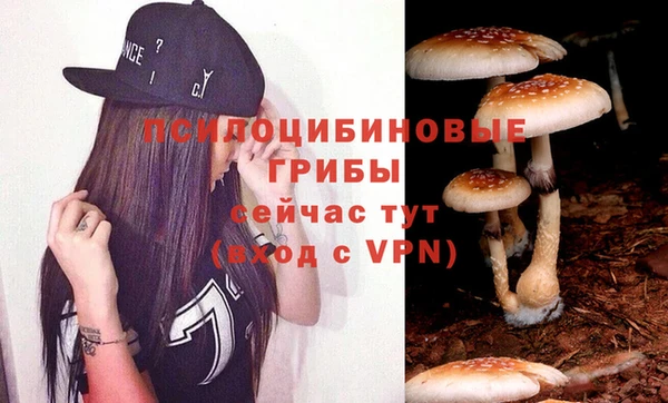 марки lsd Беломорск