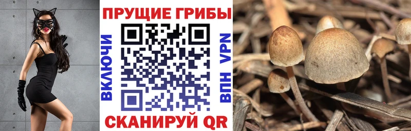 наркота  Заречный  Галлюциногенные грибы прущие грибы 